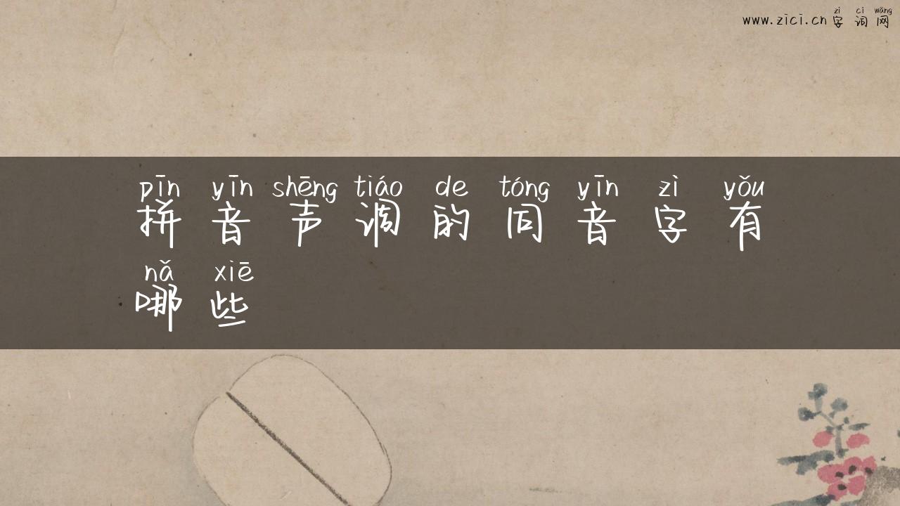 拼音声调的同音字有哪些
