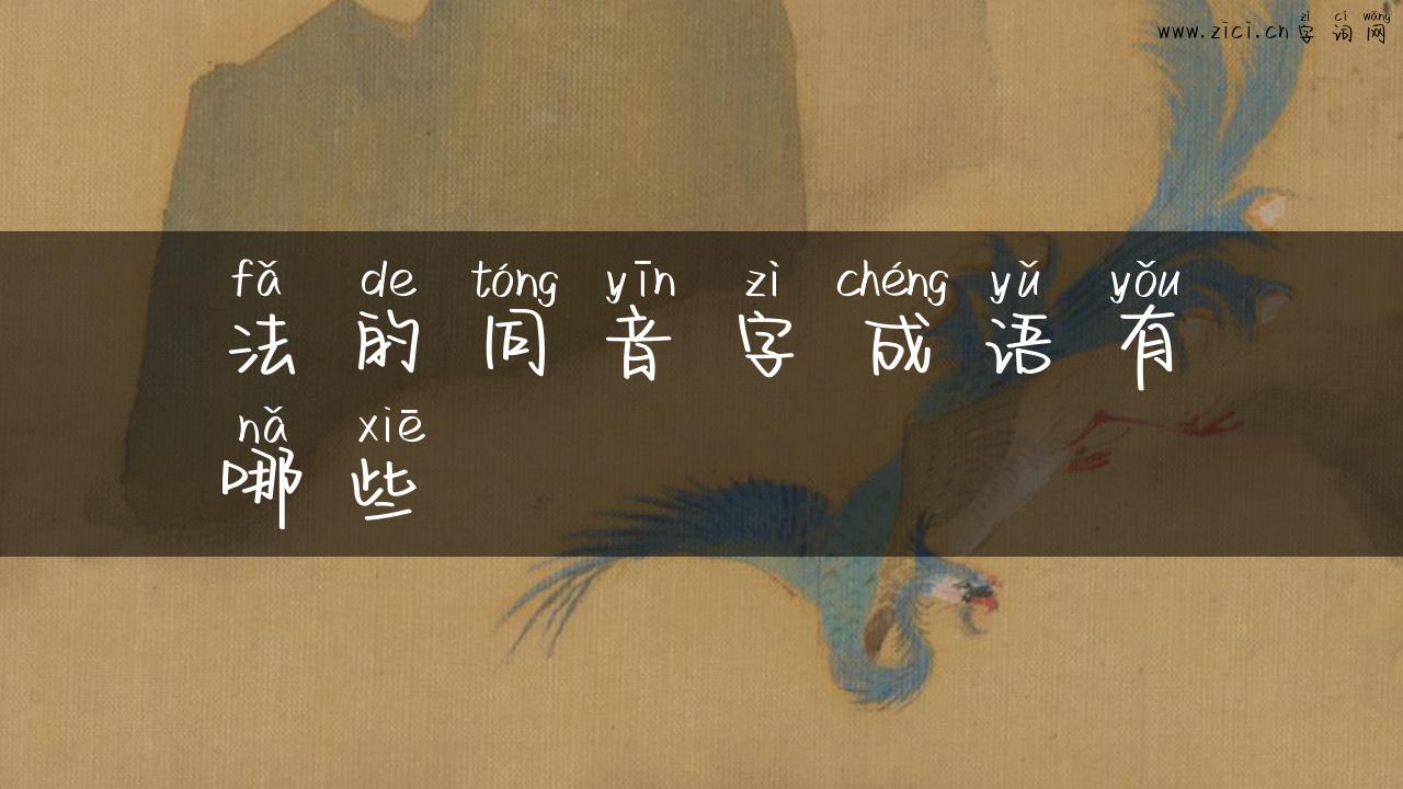 法的同音字成语有哪些