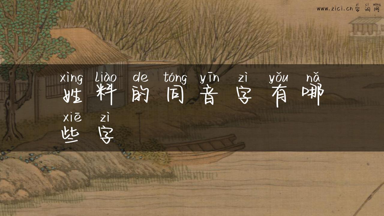 姓料的同音字有哪些字
