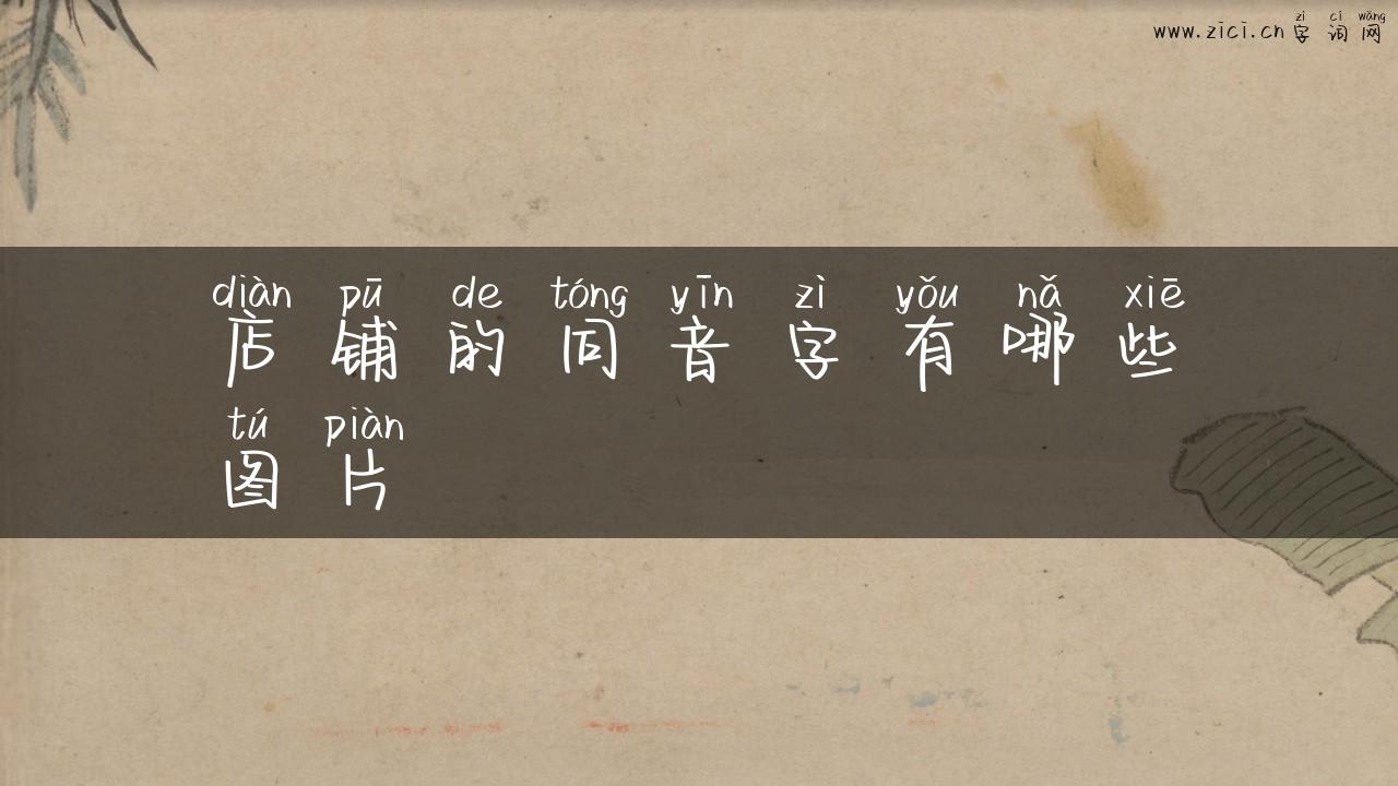 店铺的同音字有哪些图片