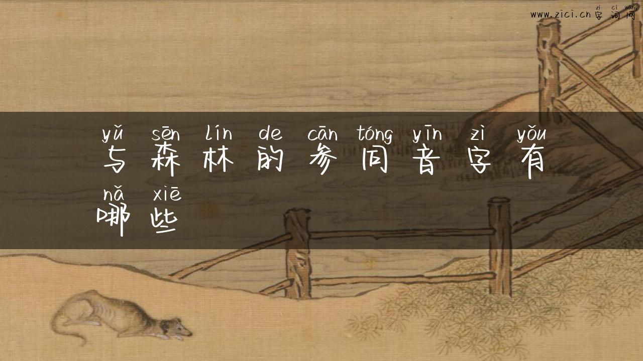 与森林的参同音字有哪些