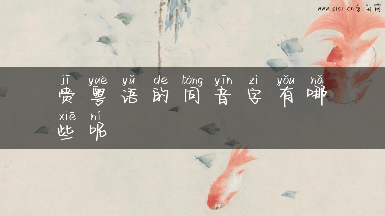 赍粤语的同音字有哪些呢