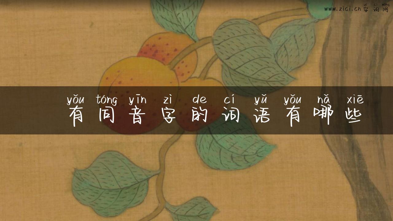 睒有同音字的词语有哪些