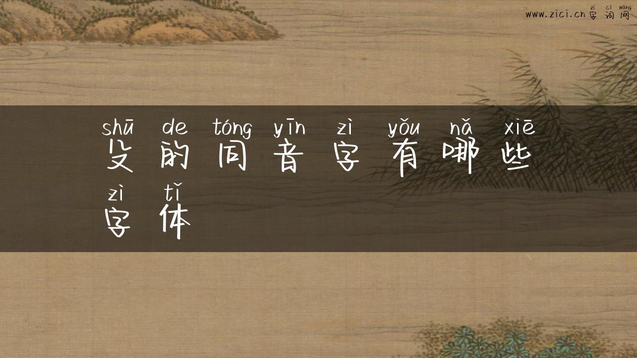 殳的同音字有哪些字体