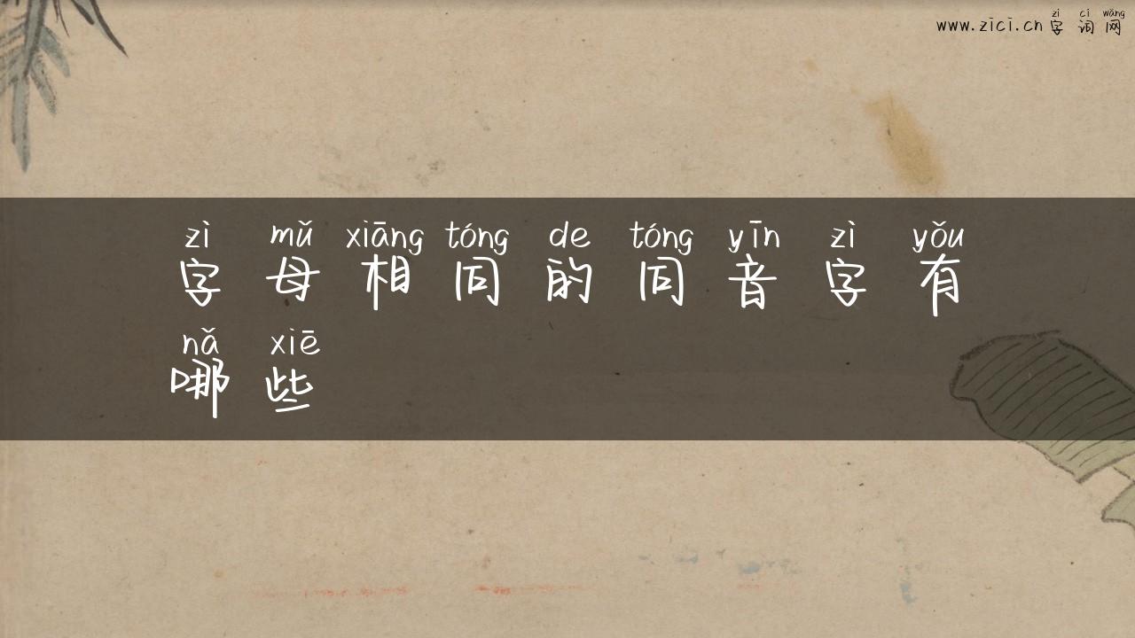 字母相同的同音字有哪些