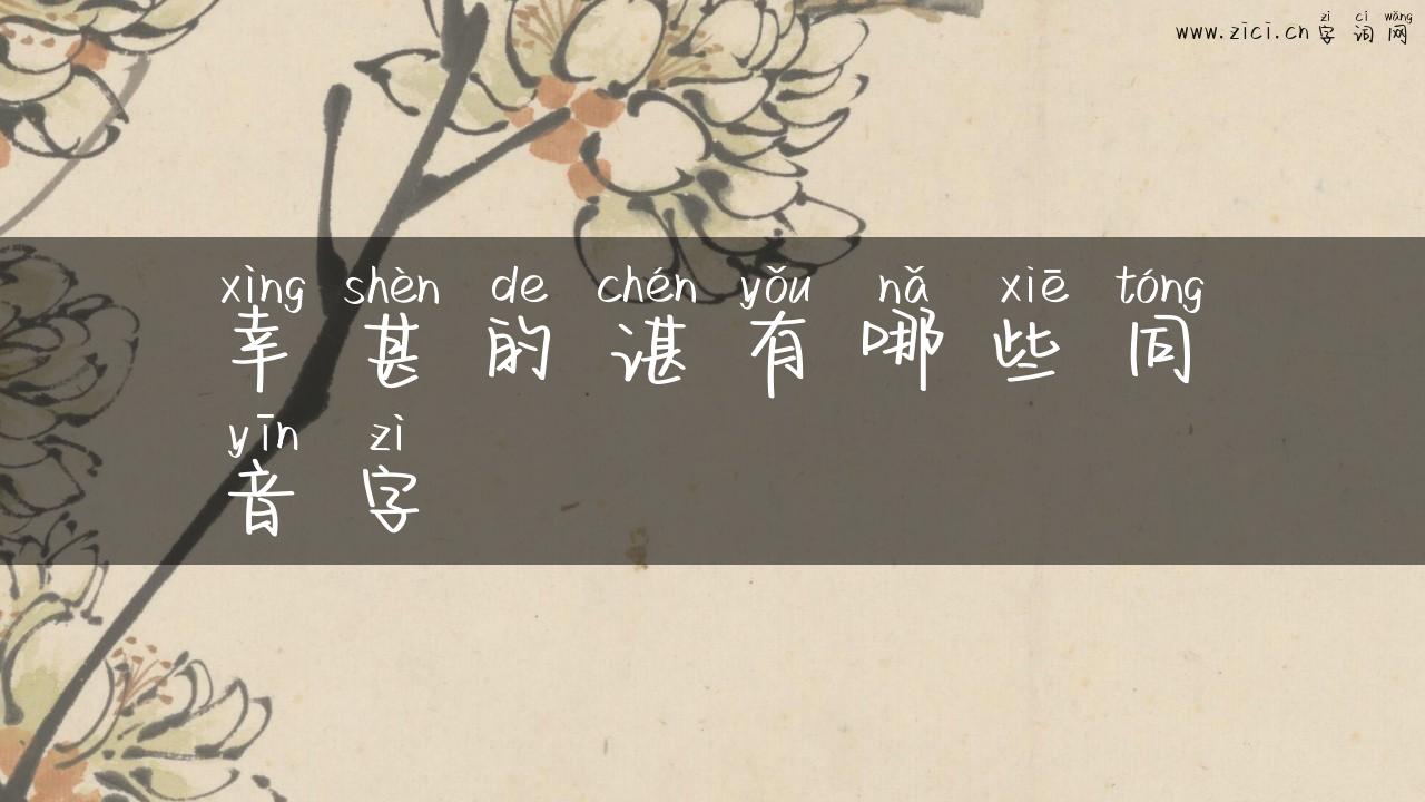 幸甚的谌有哪些同音字