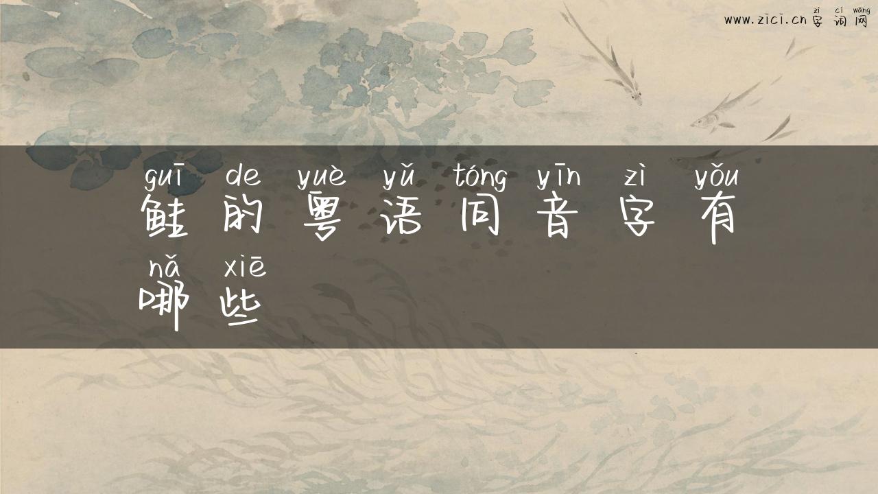 鲑的粤语同音字有哪些