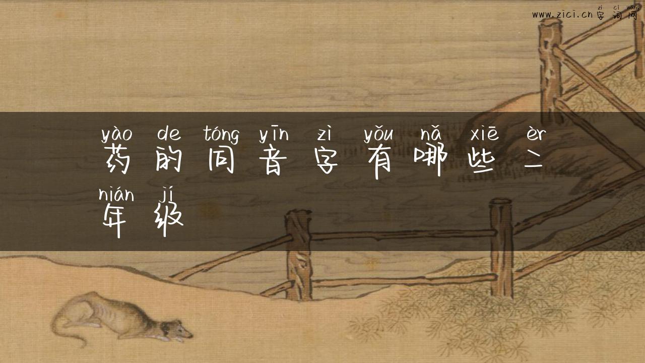 药的同音字有哪些二年级