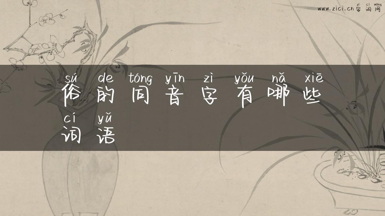 俗的同音字有哪些词语