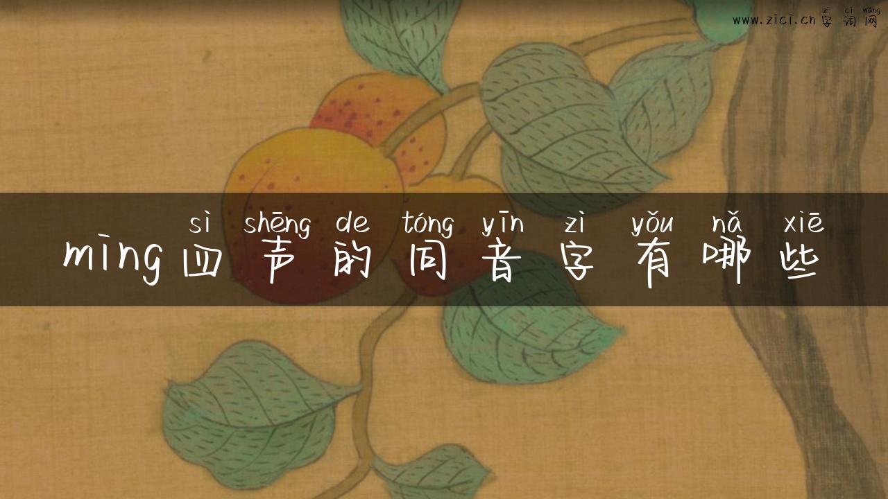 ming四声的同音字有哪些