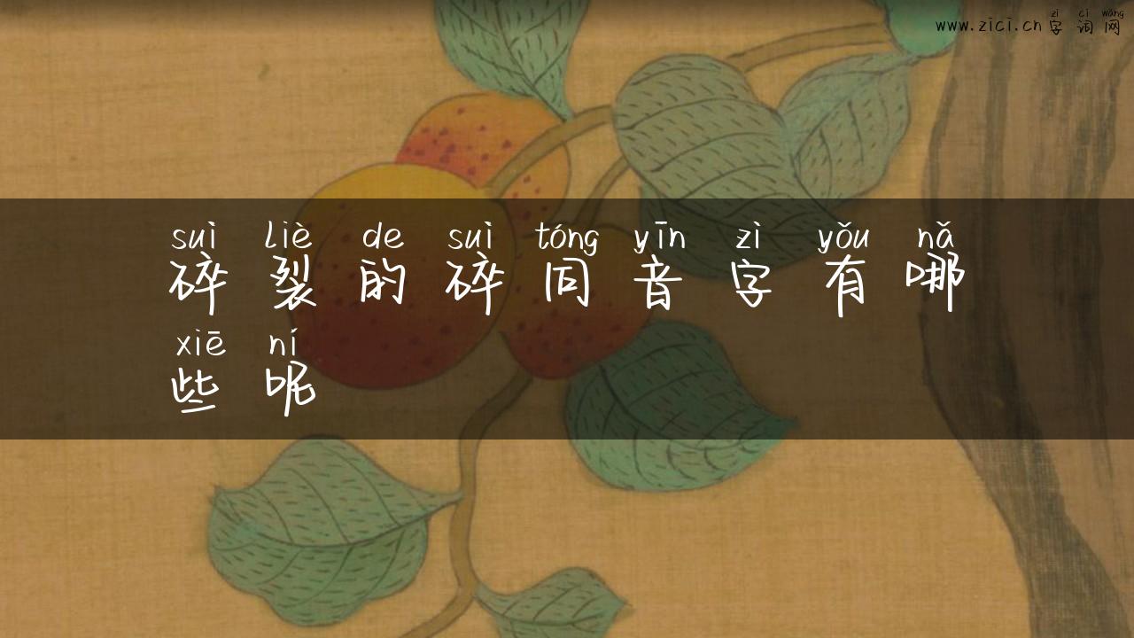 碎裂的碎同音字有哪些呢