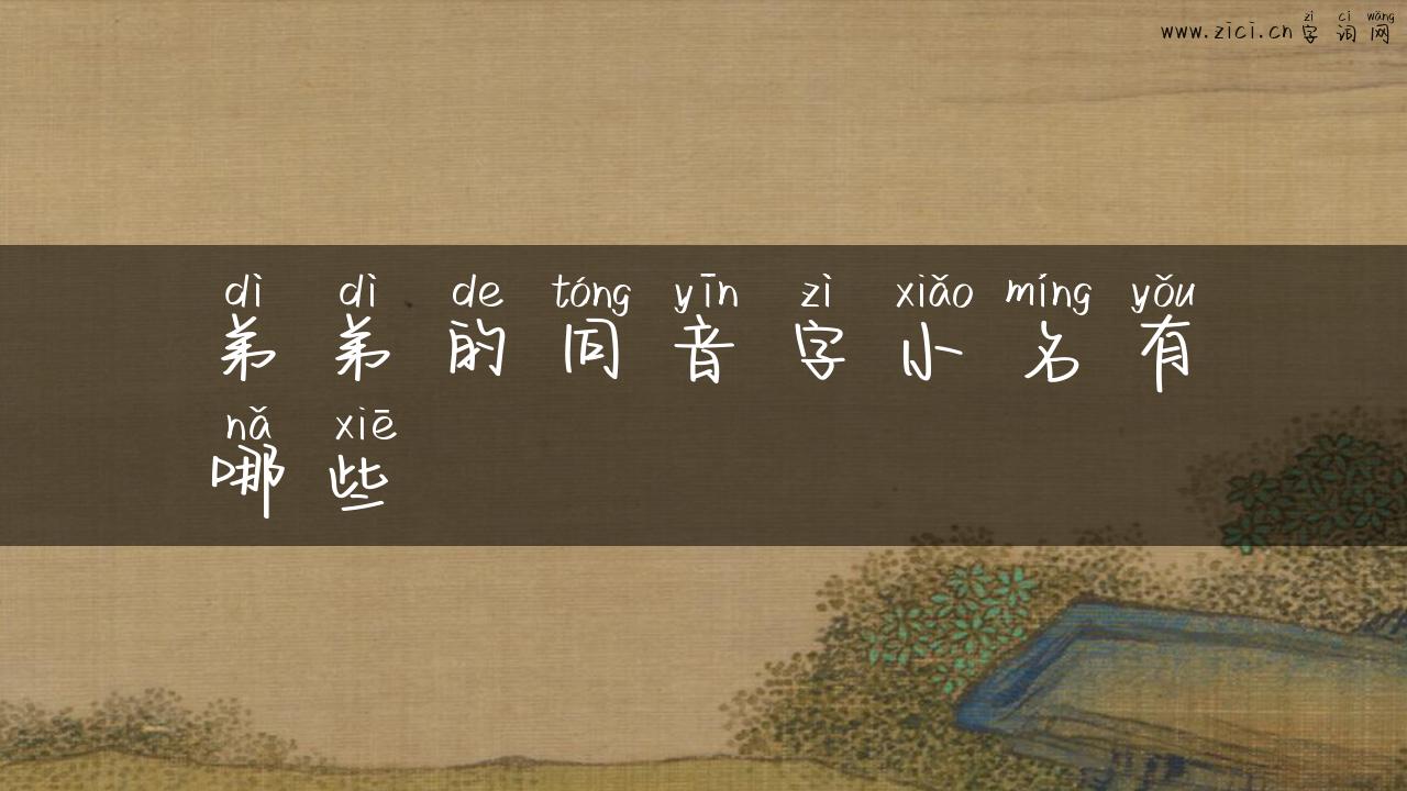 弟弟的同音字小名有哪些