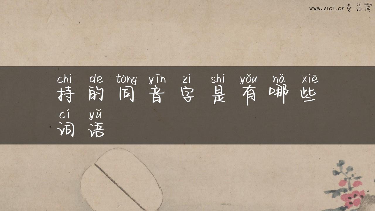 持的同音字是有哪些词语