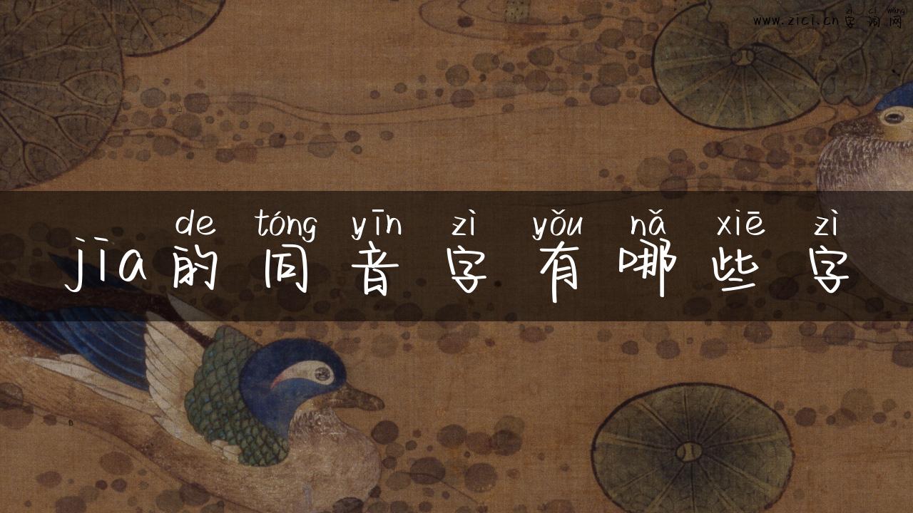 jia的同音字有哪些字