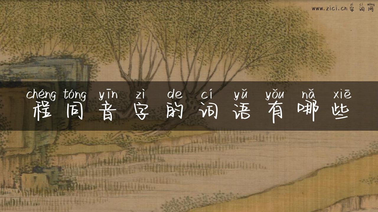 程同音字的词语有哪些