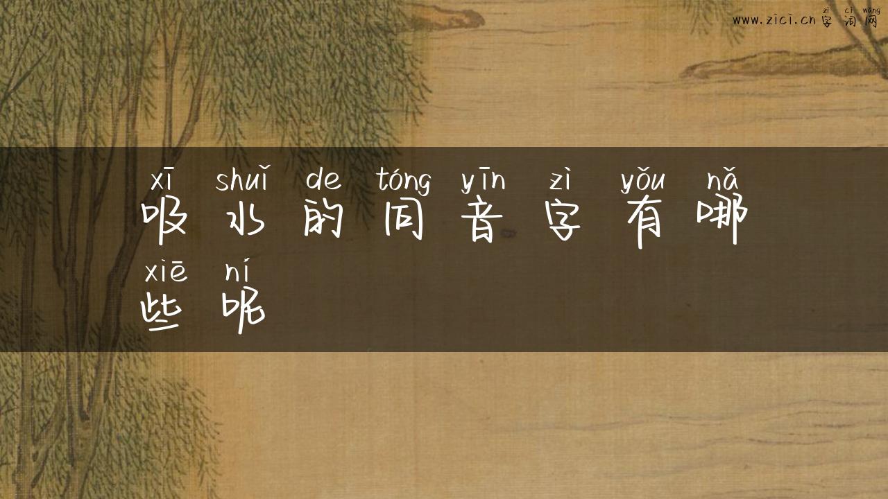 吸水的同音字有哪些呢