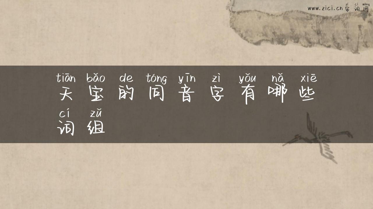 天宝的同音字有哪些词组