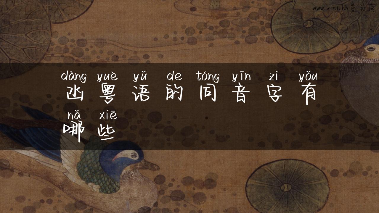 凼粤语的同音字有哪些