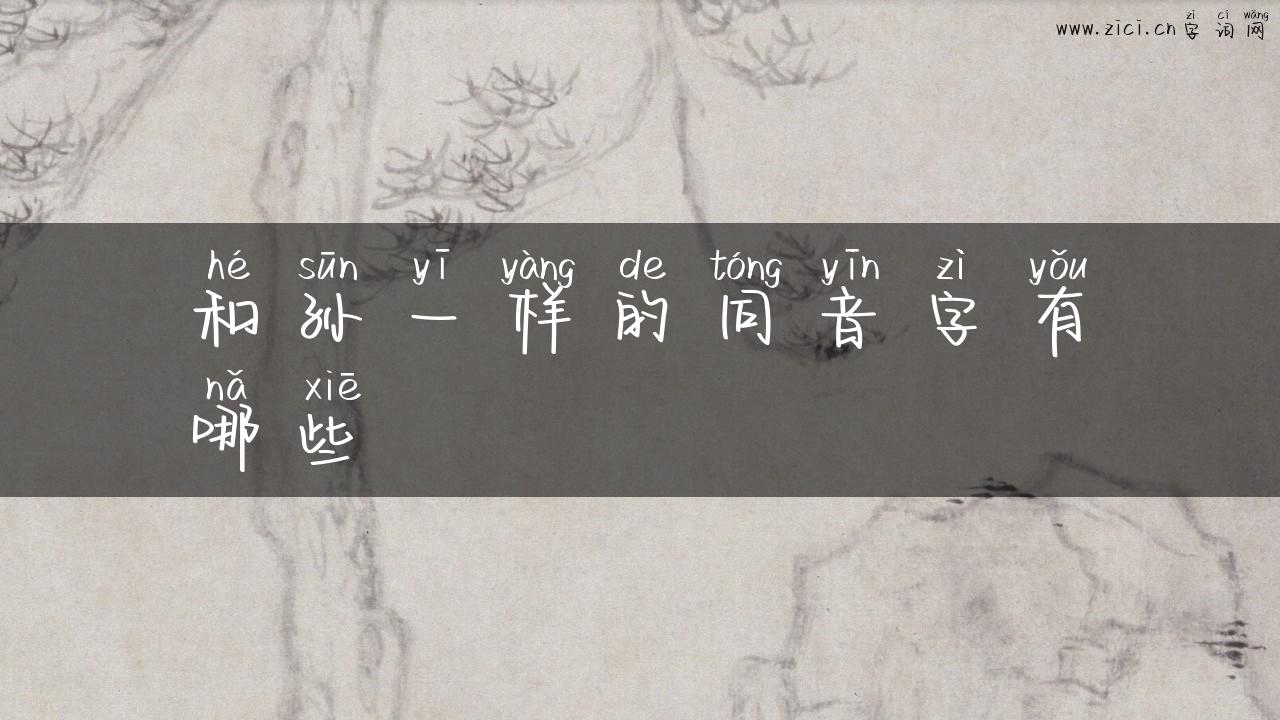 和孙一样的同音字有哪些