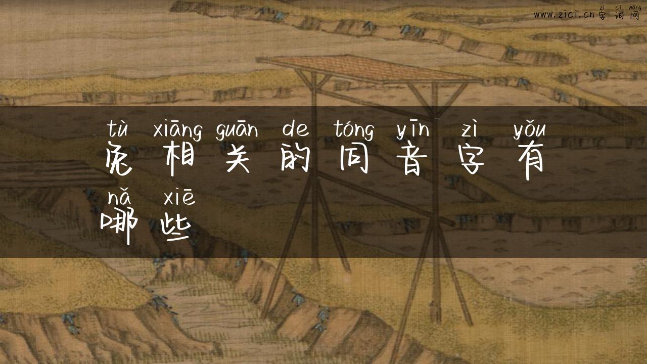 兔相关的同音字有哪些