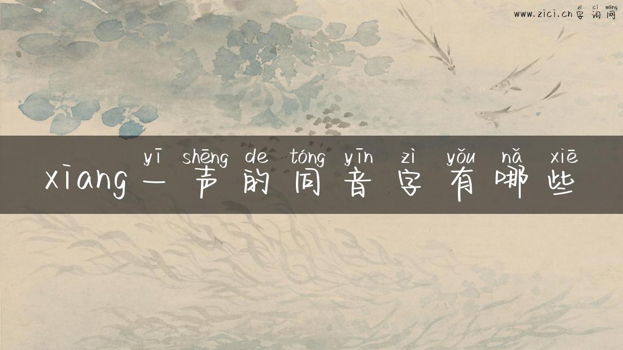 xiang一声的同音字有哪些