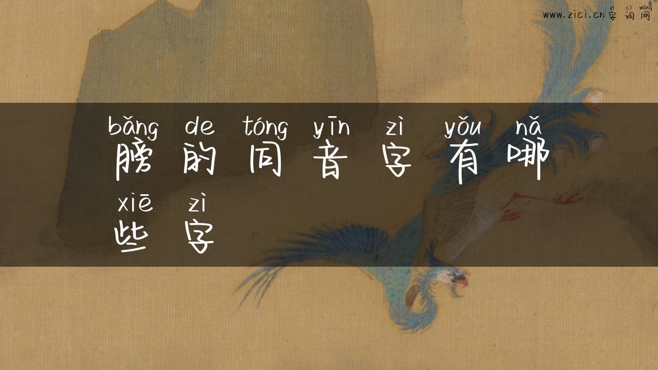膀的同音字有哪些字