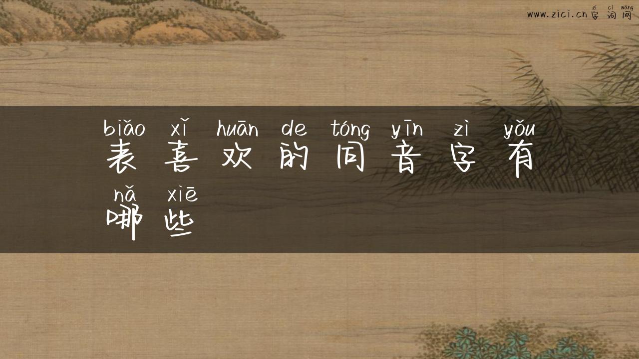 表喜欢的同音字有哪些