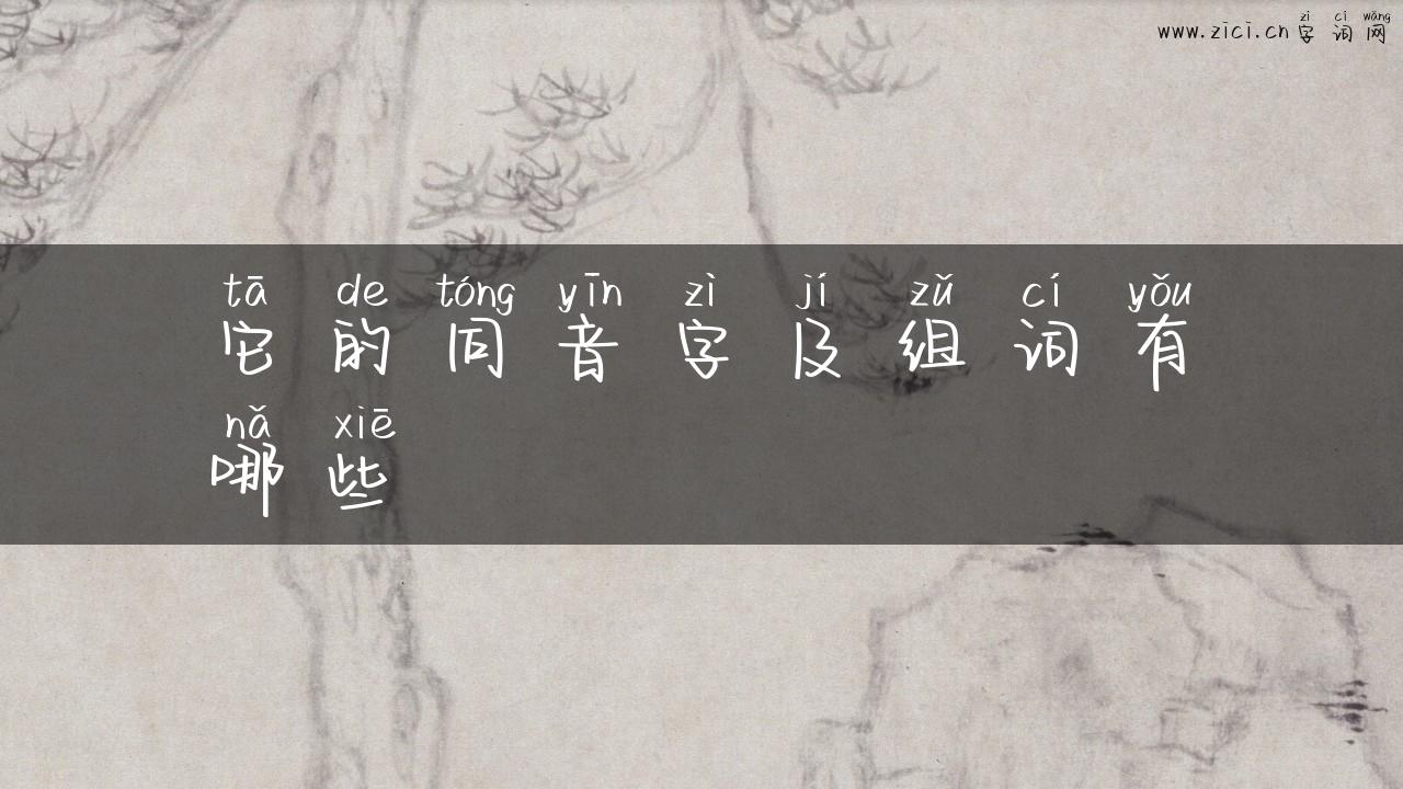 它的同音字及组词有哪些