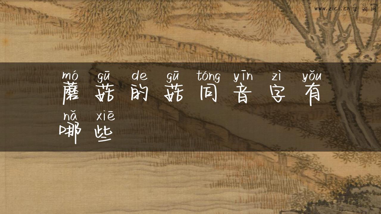 蘑菇的菇同音字有哪些