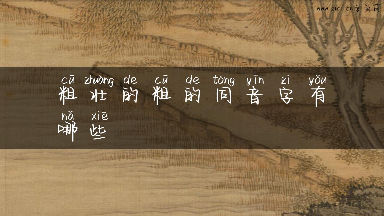 粗壮的粗的同音字有哪些
