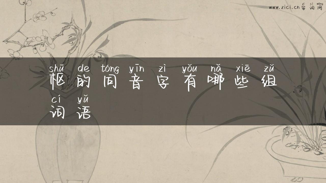 枢的同音字有哪些组词语