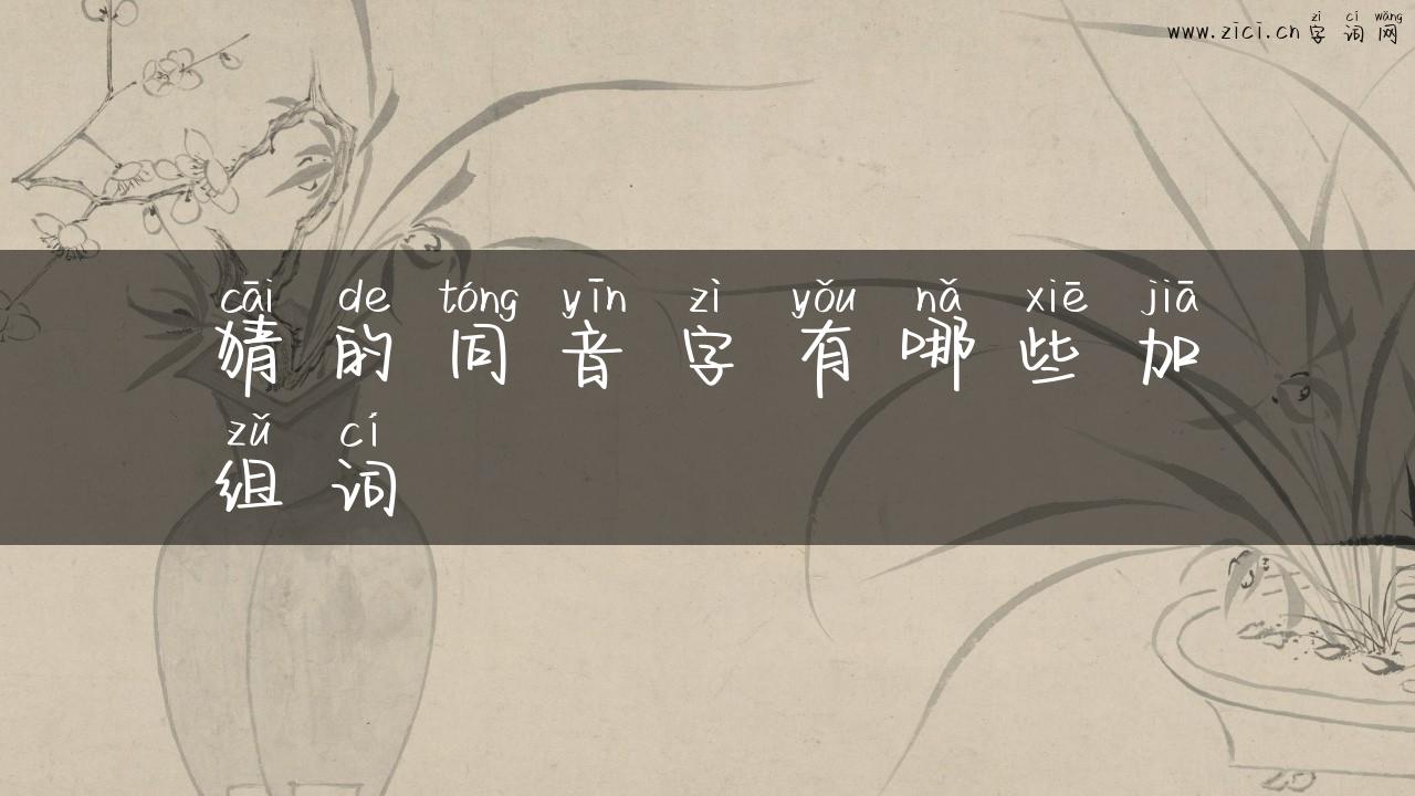 猜的同音字有哪些加组词