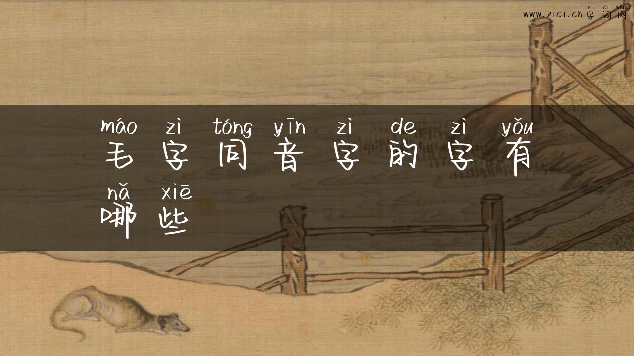 毛字同音字的字有哪些