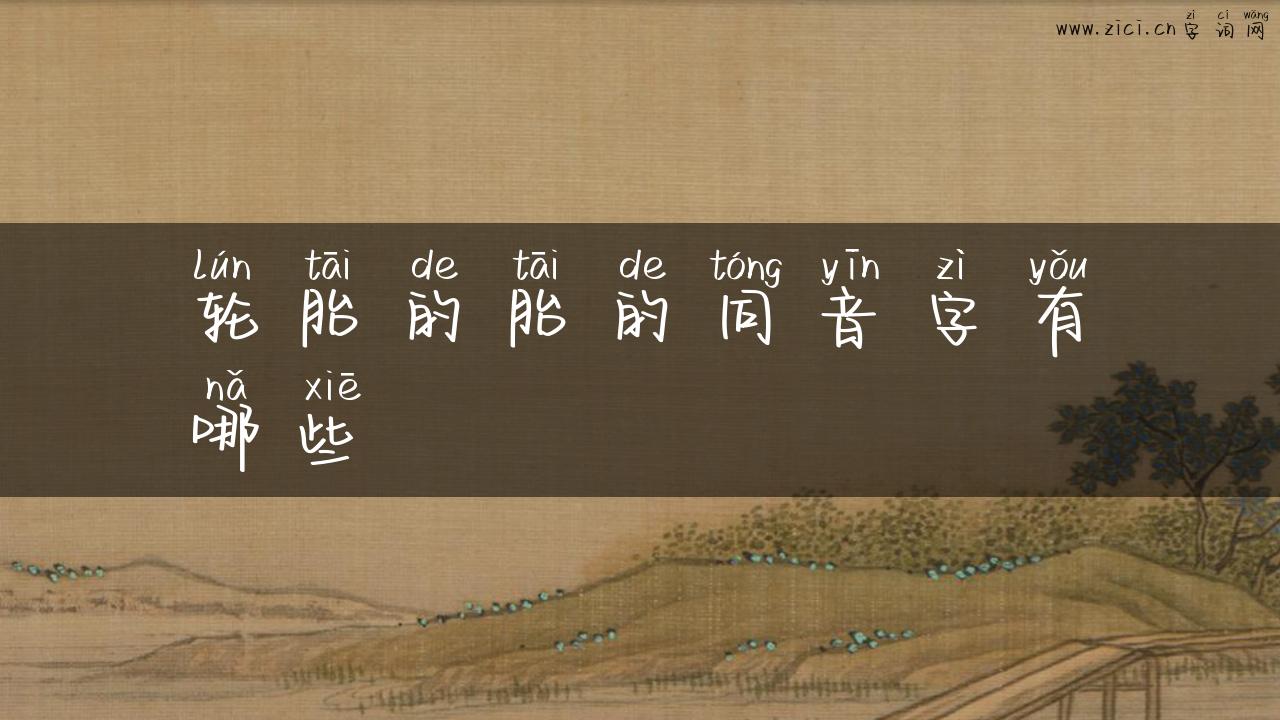 轮胎的胎的同音字有哪些