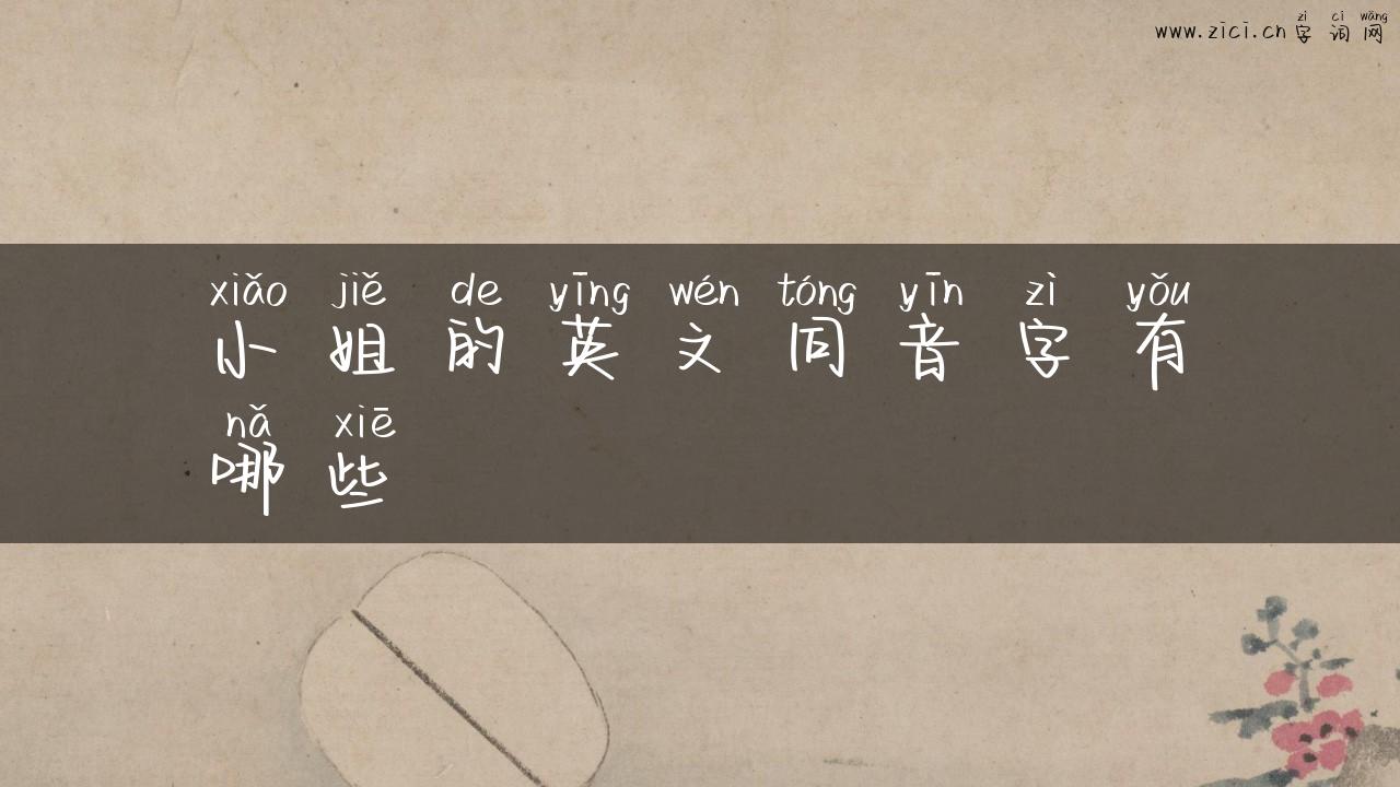 小姐的英文同音字有哪些