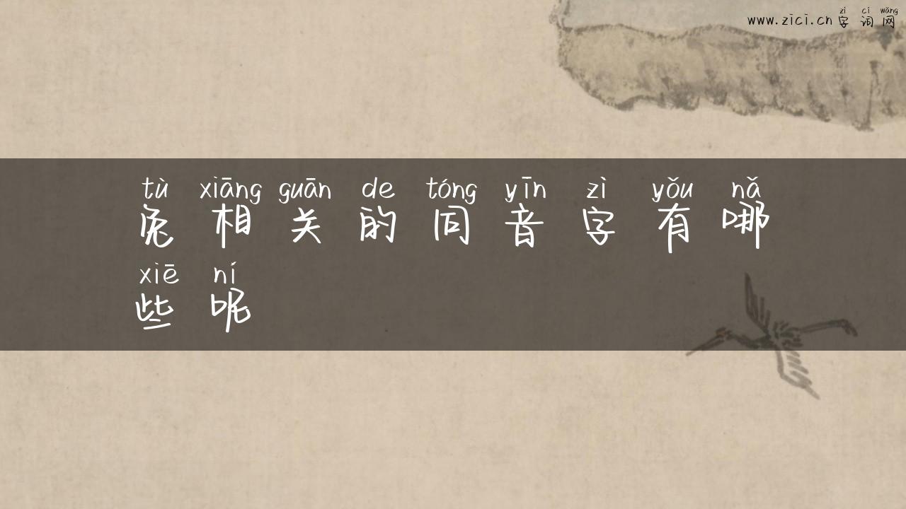 兔相关的同音字有哪些呢