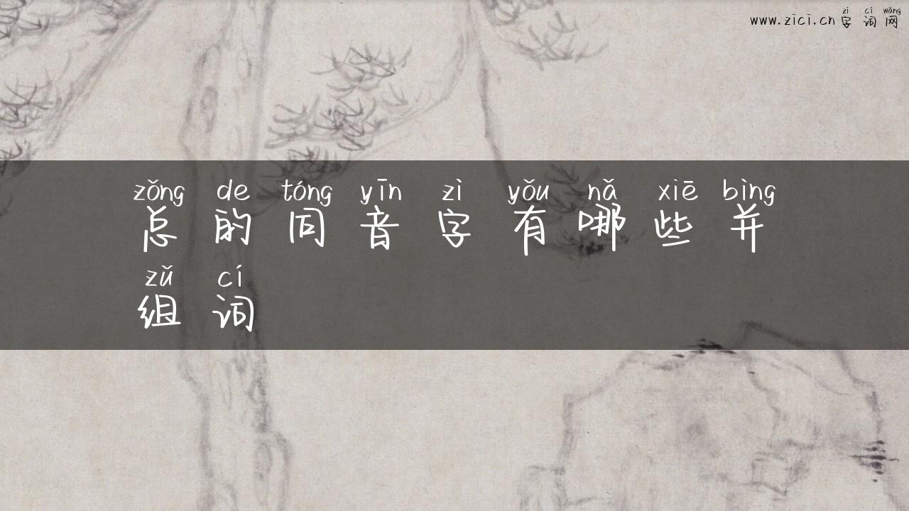 总的同音字有哪些并组词