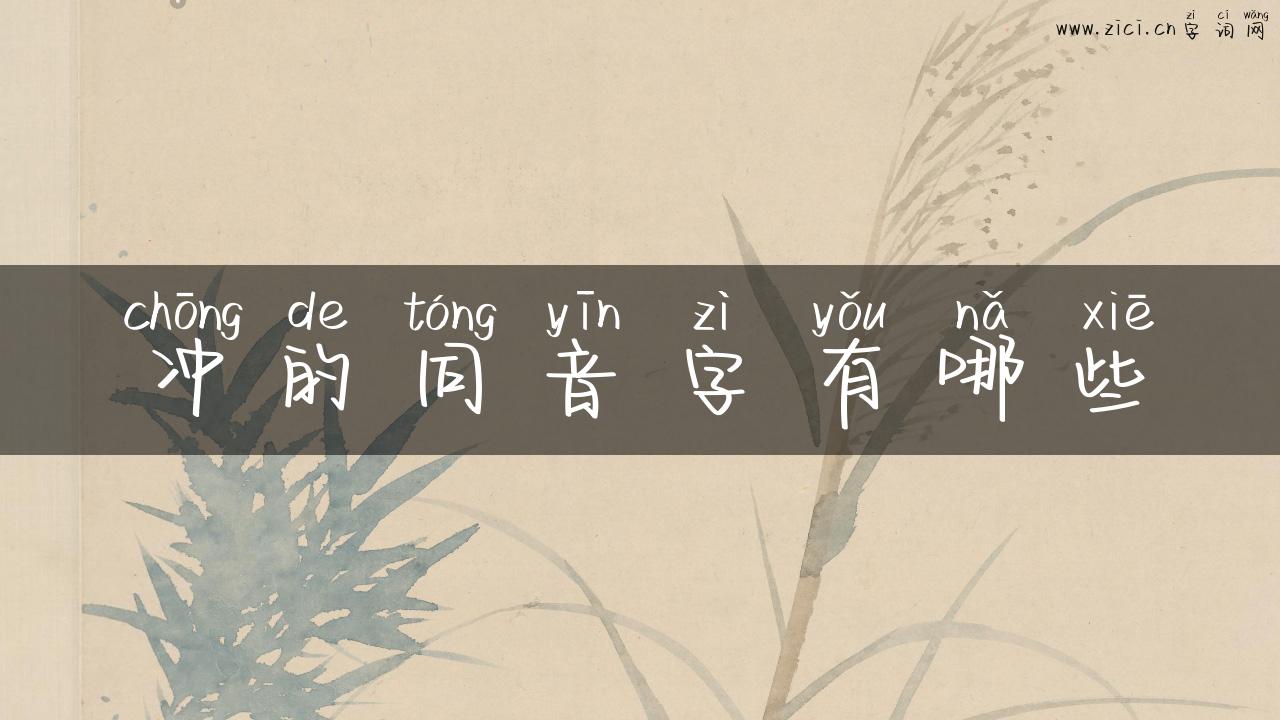 冲的同音字有哪些