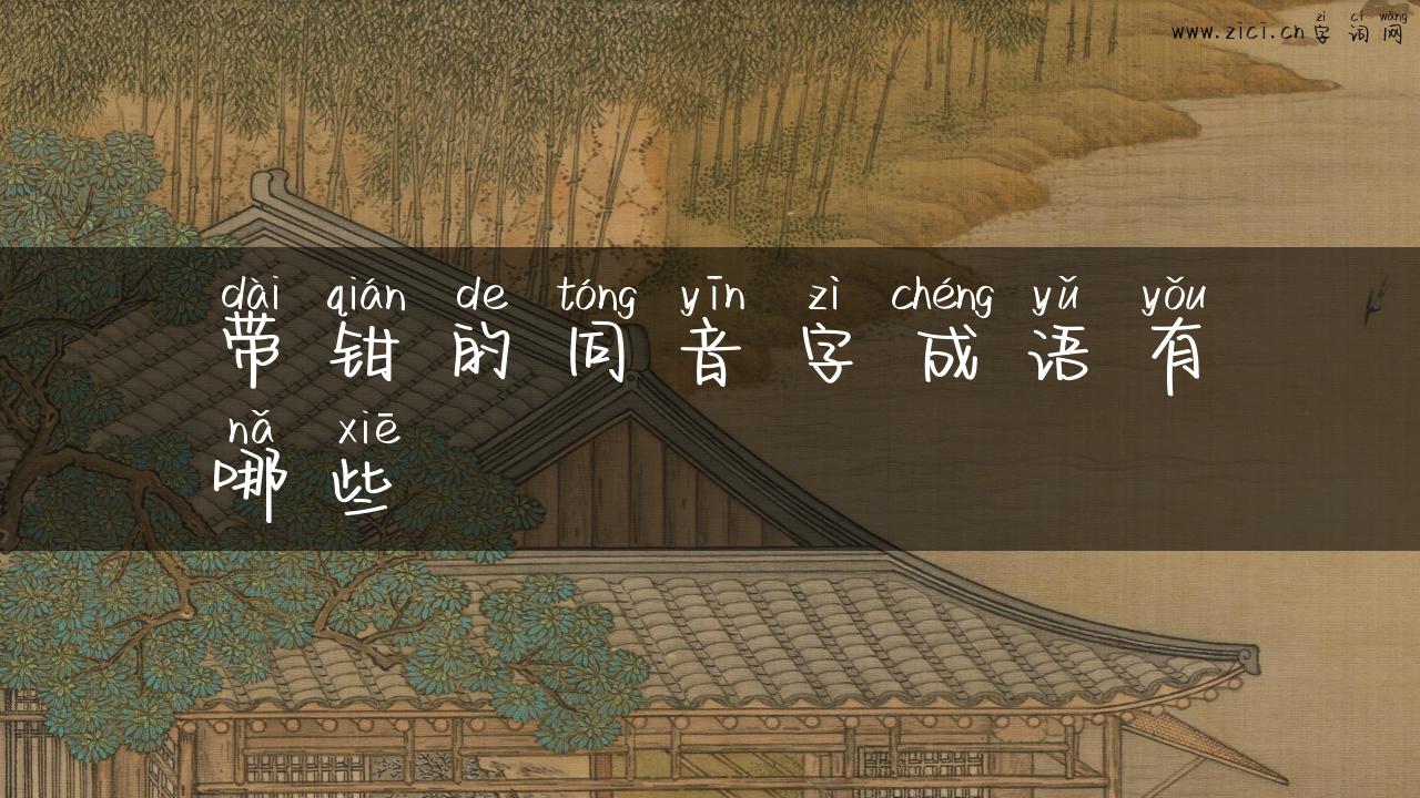 带钳的同音字成语有哪些