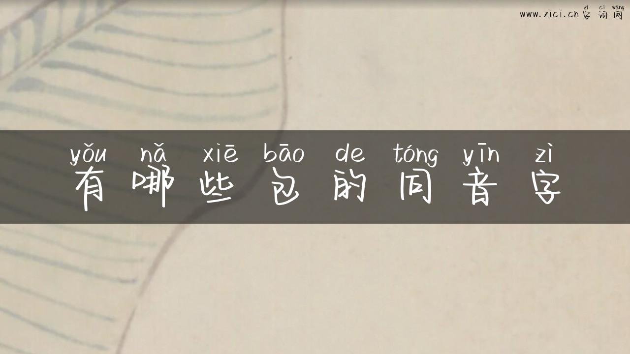有哪些包的同音字