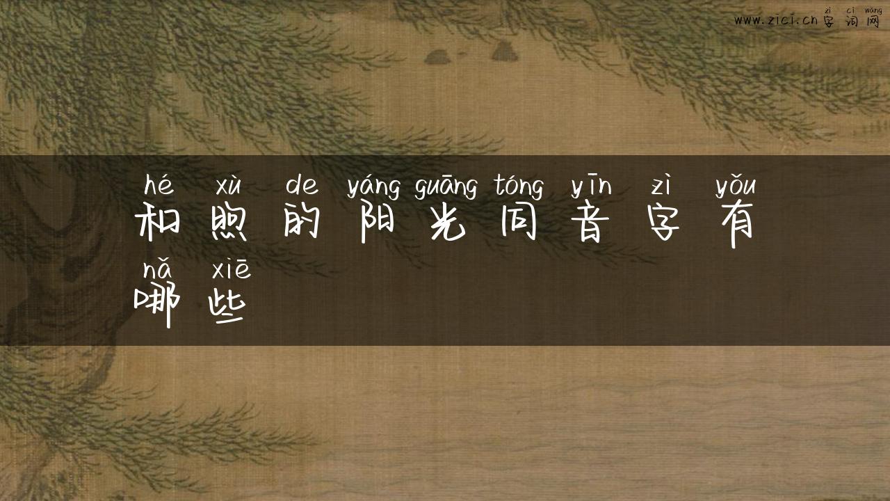 和煦的阳光同音字有哪些