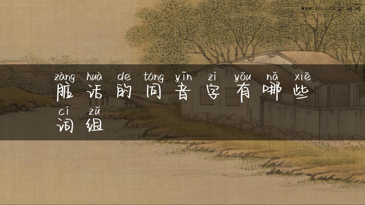 脏话的同音字有哪些词组