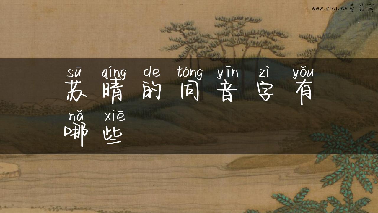 苏晴的同音字有哪些