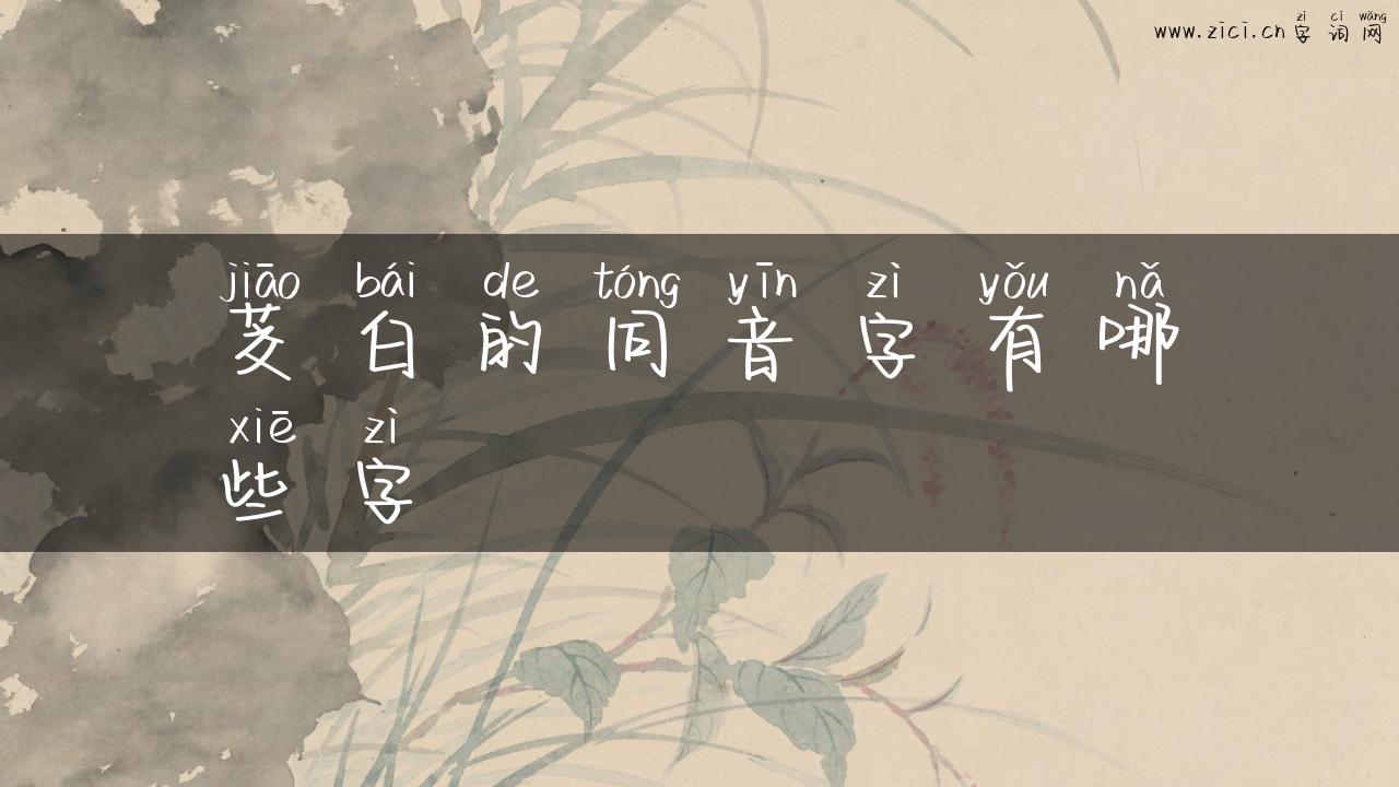 茭白的同音字有哪些字