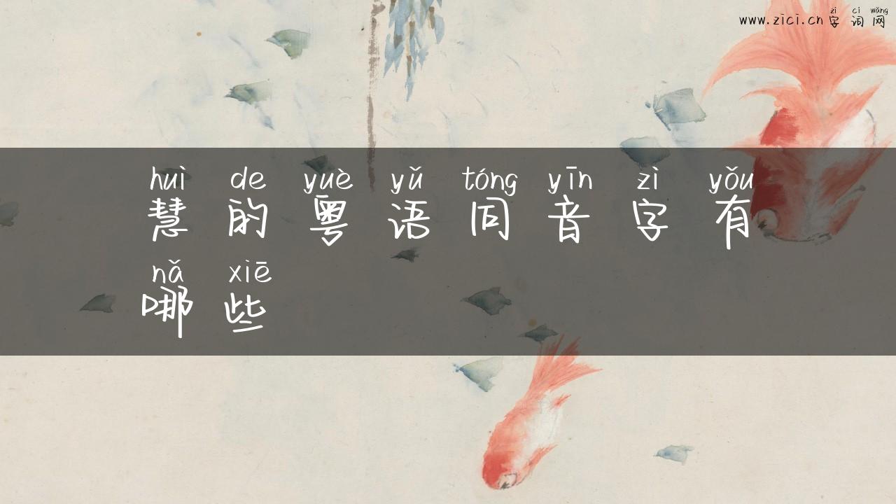 慧的粤语同音字有哪些