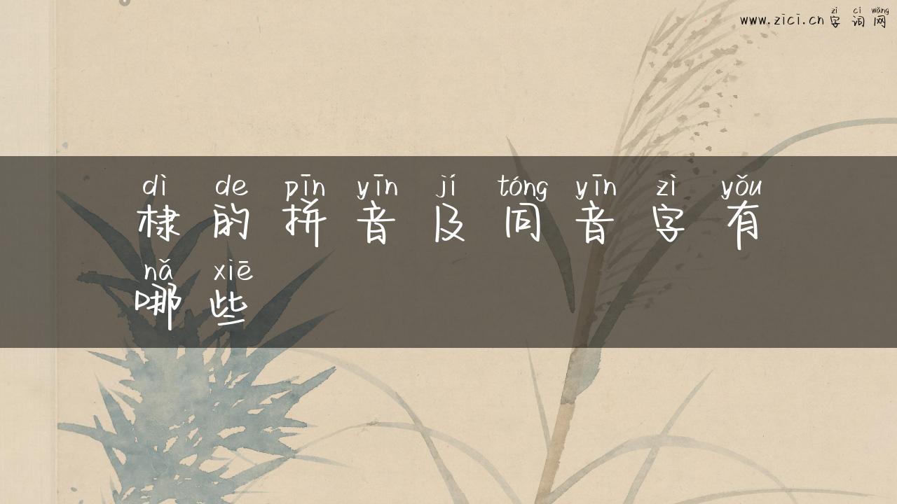 棣的拼音及同音字有哪些