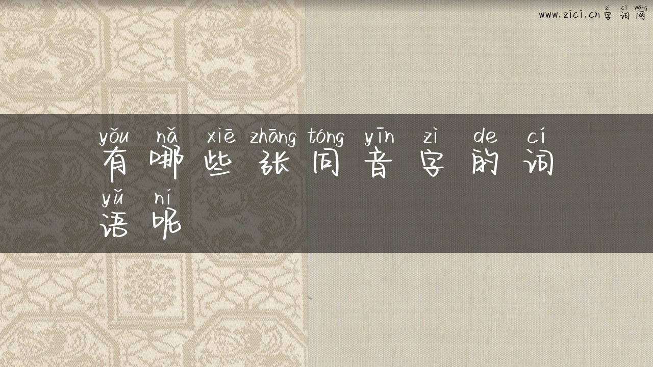 有哪些张同音字的词语呢