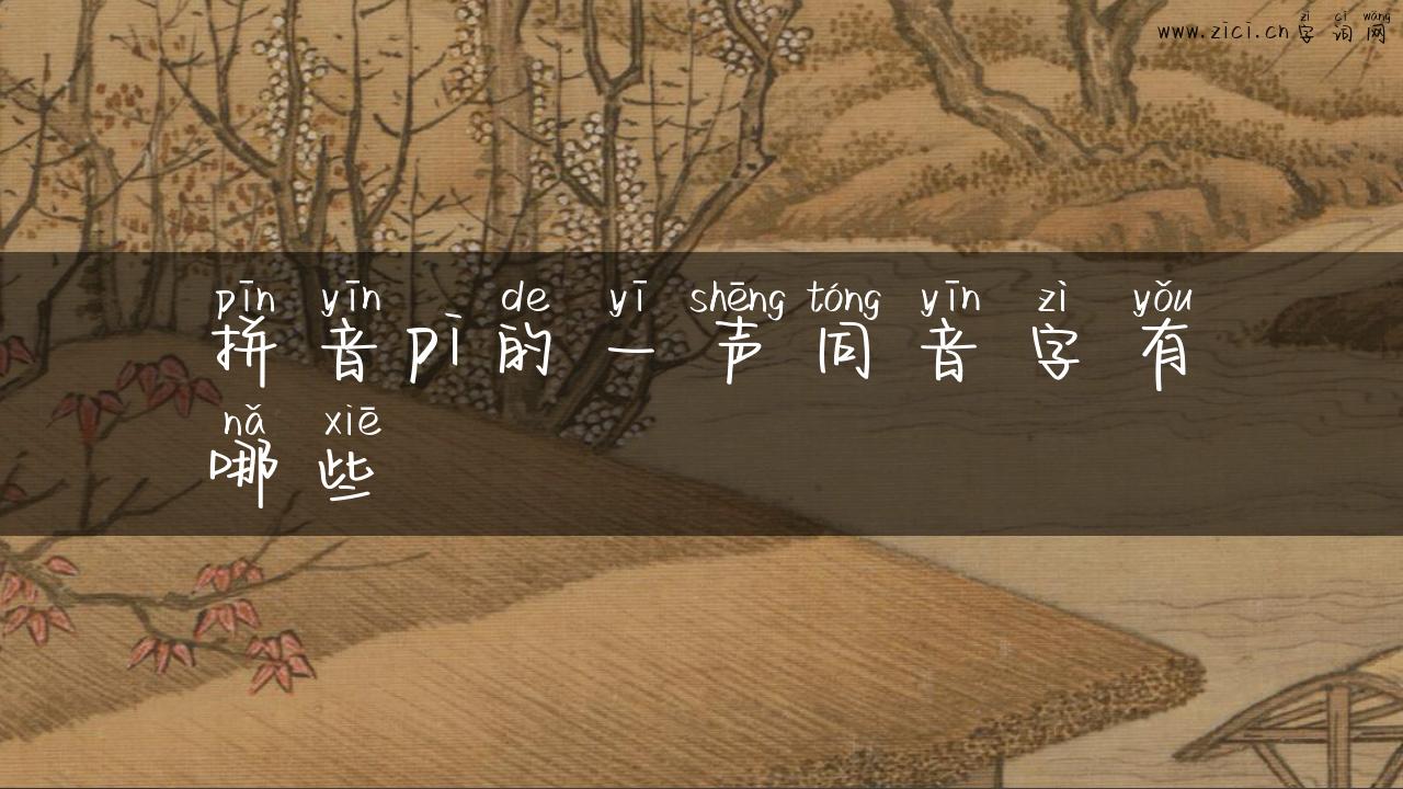 拼音pi的一声同音字有哪些