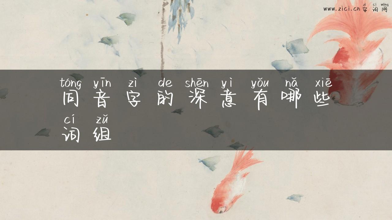 同音字的深意有哪些词组