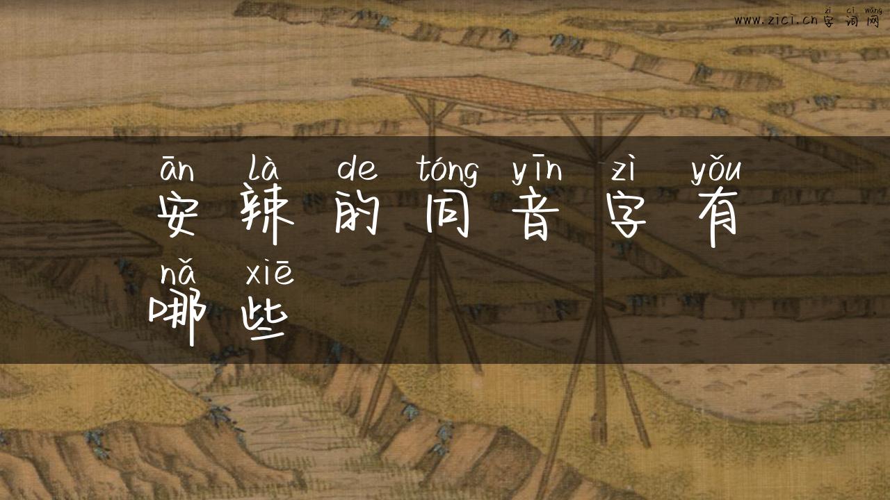 安辣的同音字有哪些